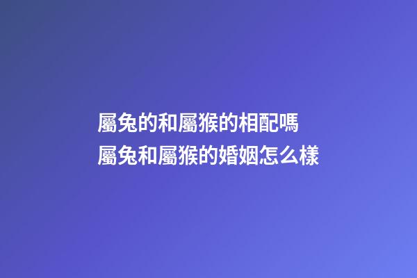 屬兔的和屬猴的相配嗎 屬兔和屬猴的婚姻怎么樣-第1張-觀點(diǎn)-玄機(jī)派